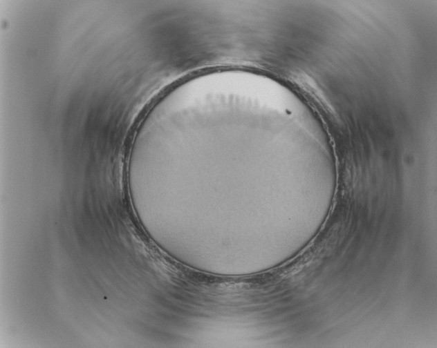 X0000088211268200706121756