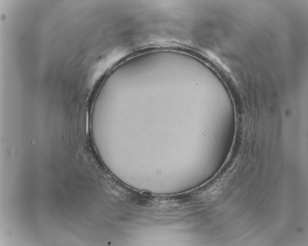 X0000088211269200706121756