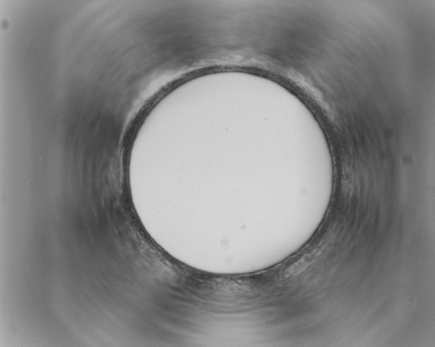 X0000088211270200706121756