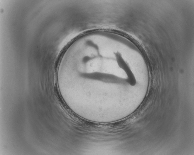 X0000088211271200706121756