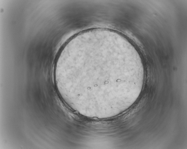 X0000088211272200706121756