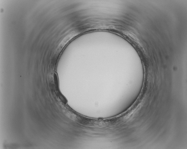 X0000088211273200706121756