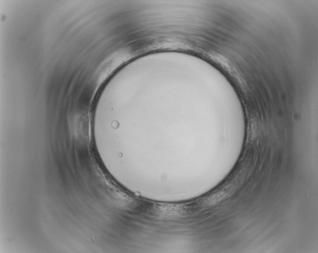 X0000088211274200706121756