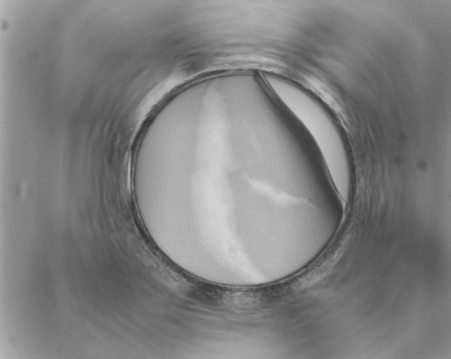 X0000088211275200706121756