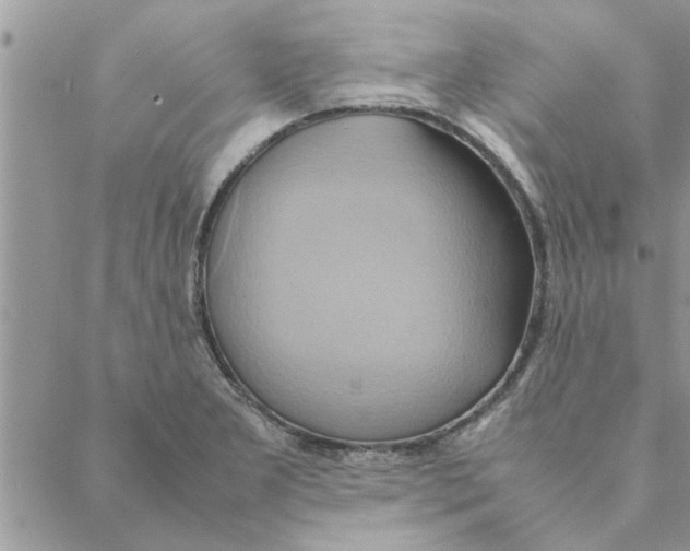 X0000088211277200706121756