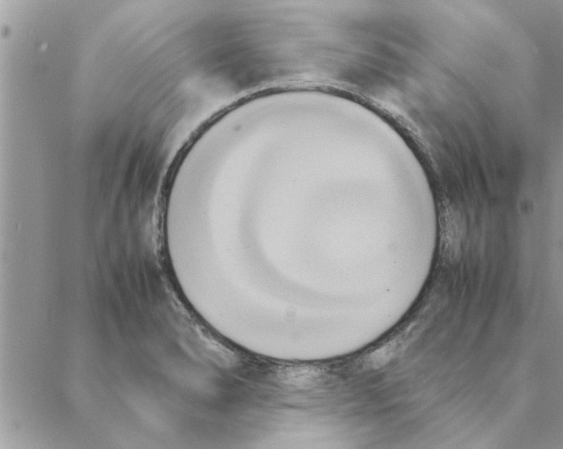 X0000088211278200706121756