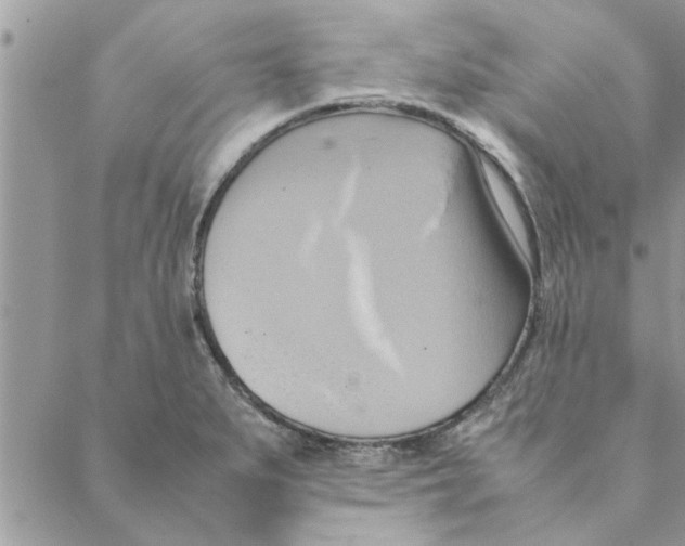 X0000088211279200706121756