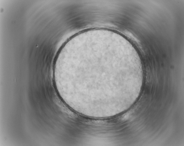 X0000088211280200706121756