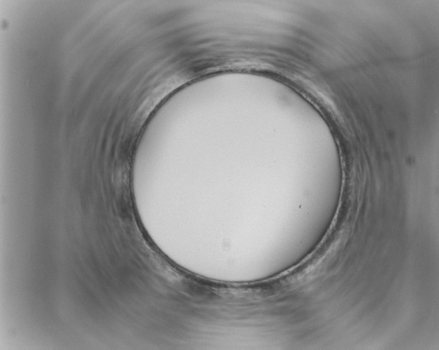 X0000088211281200706121756