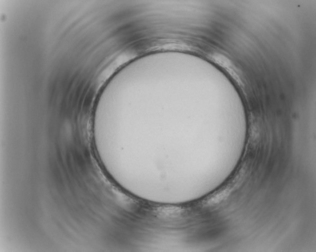 X0000088211282200706121756