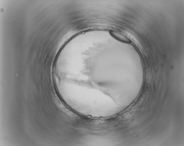 X0000088211283200706121756