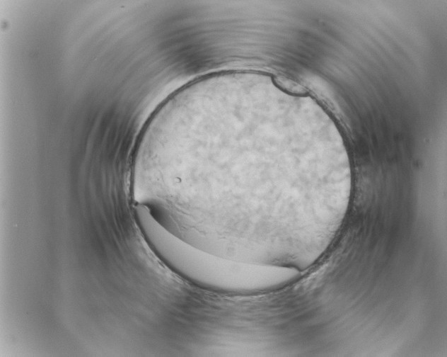 X0000088211284200706121756