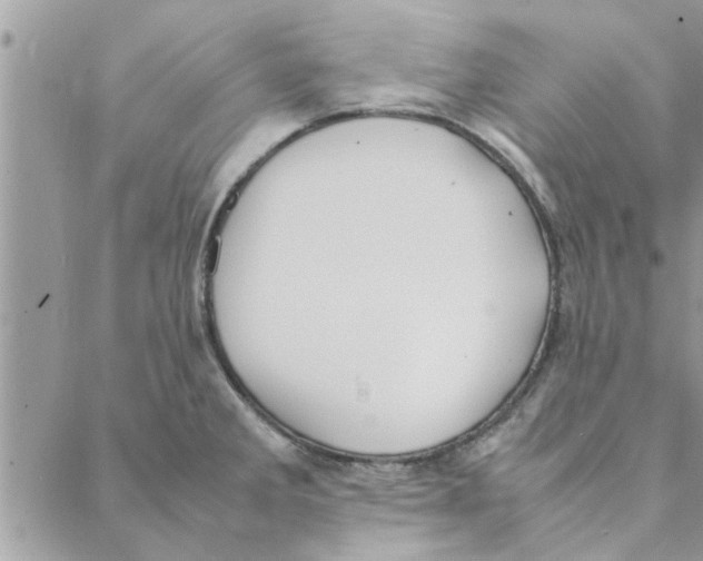 X0000088211285200706121756