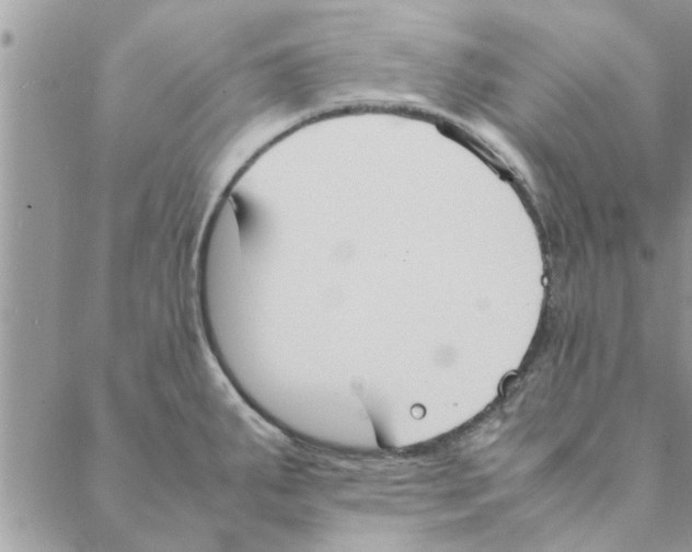 X0000088211287200706121756