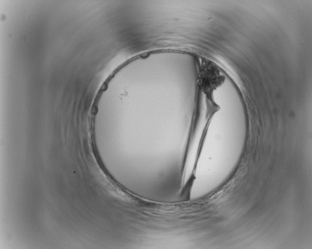 X0000088211291200706121756