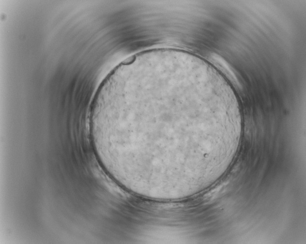 X0000088211292200706121756