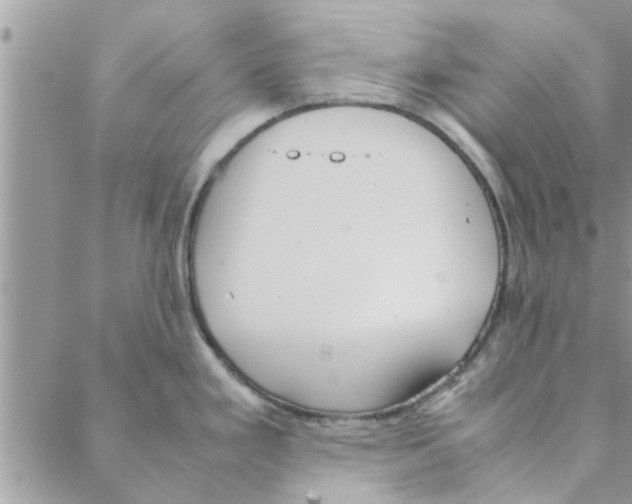 X0000088211293200706121756