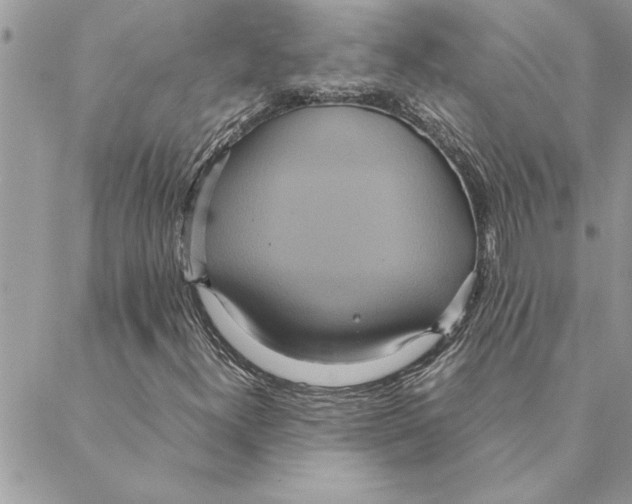 X0000088211300200706121755