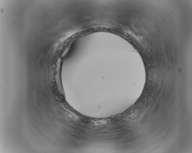 X0000088211303200706121755