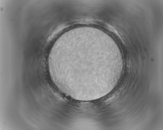 X0000088211304200706121755