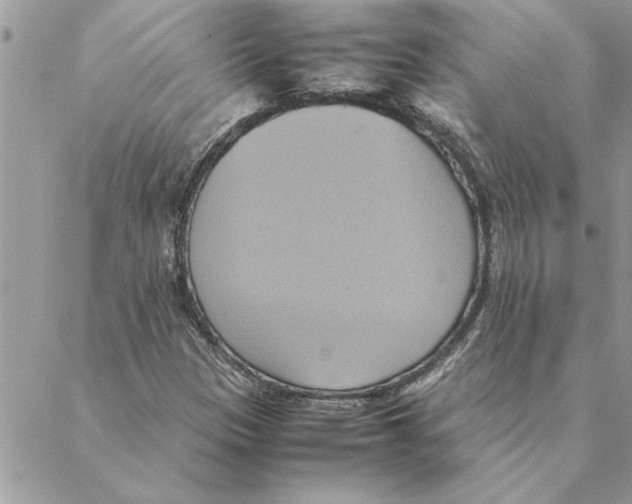 X0000088211305200706121755