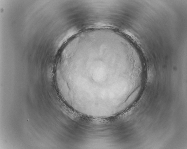 X0000088211314200706121755