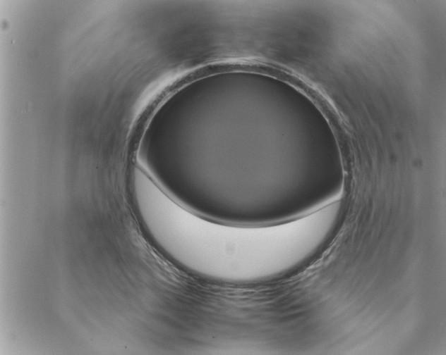 X0000088211319200706121755