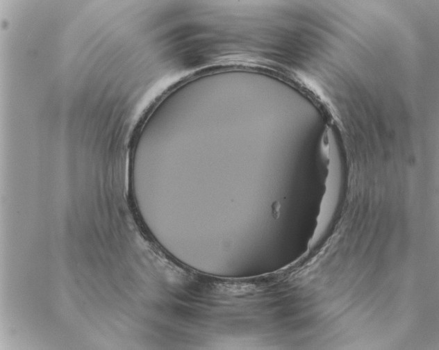 X0000088211323200706121756