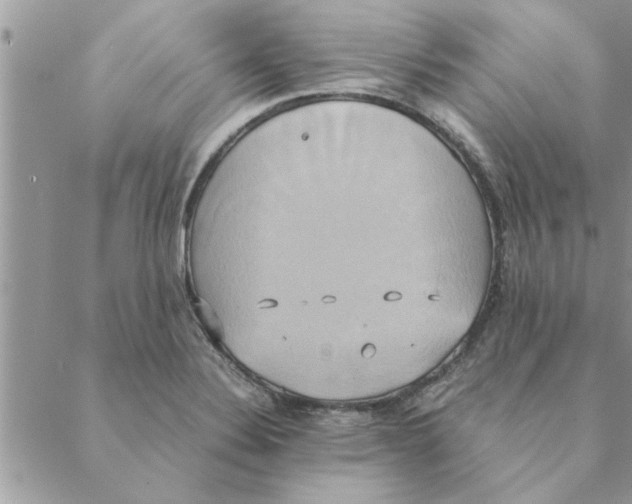 X0000088211324200706121756