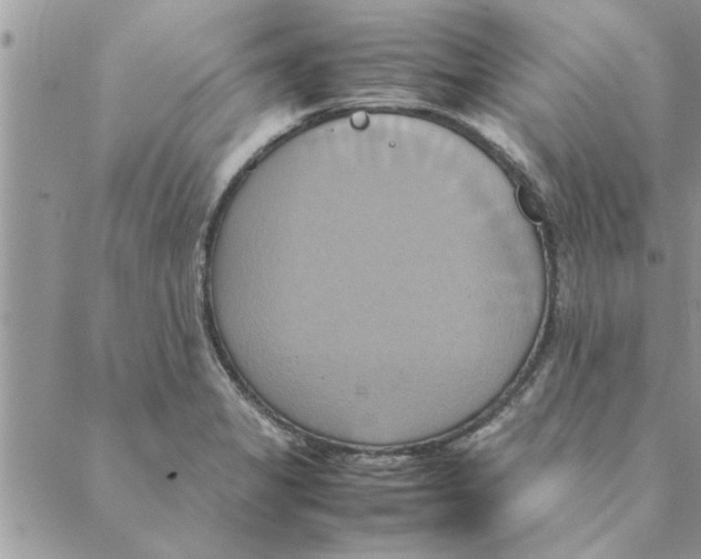 X0000088211325200706121756