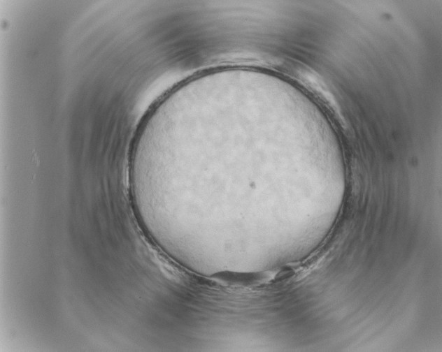 X0000088211328200706121756