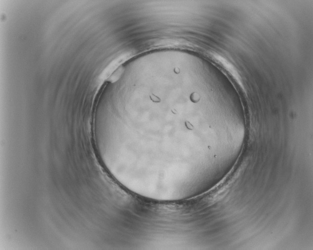 X0000088211330200706121756