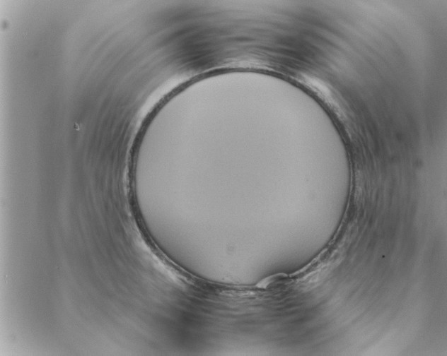 X0000088211331200706121756