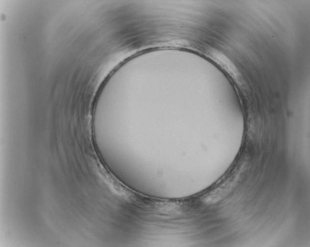 X0000088211332200706121756