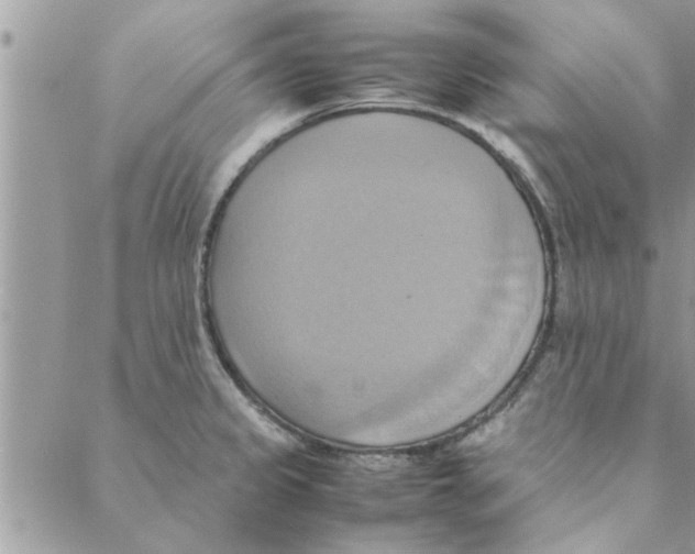 X0000088211333200706121756