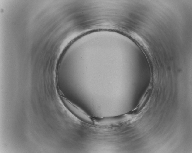 X0000088211334200706121756