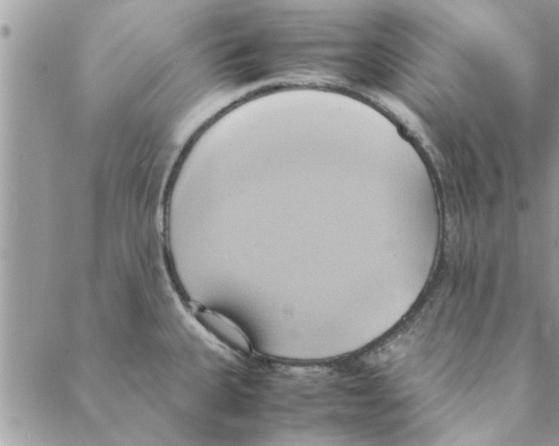 X0000088211335200706121756