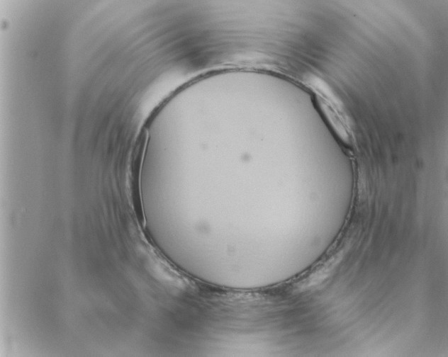 X0000088211336200706121756