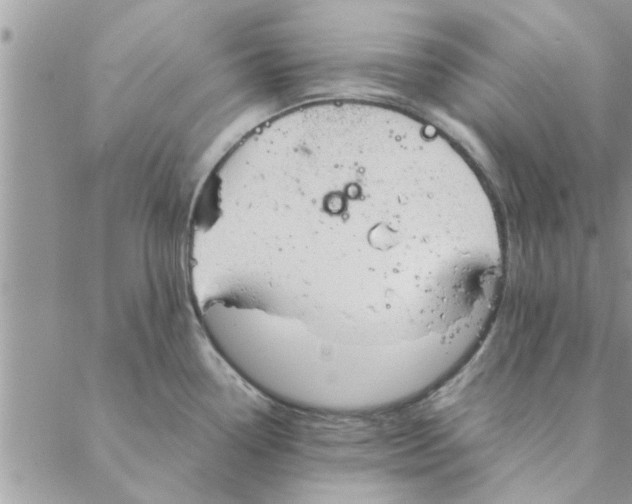 X0000088211338200706121756