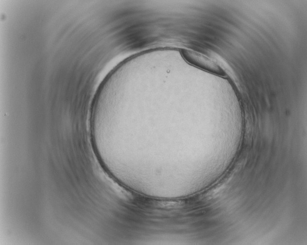 X0000088211339200706121756