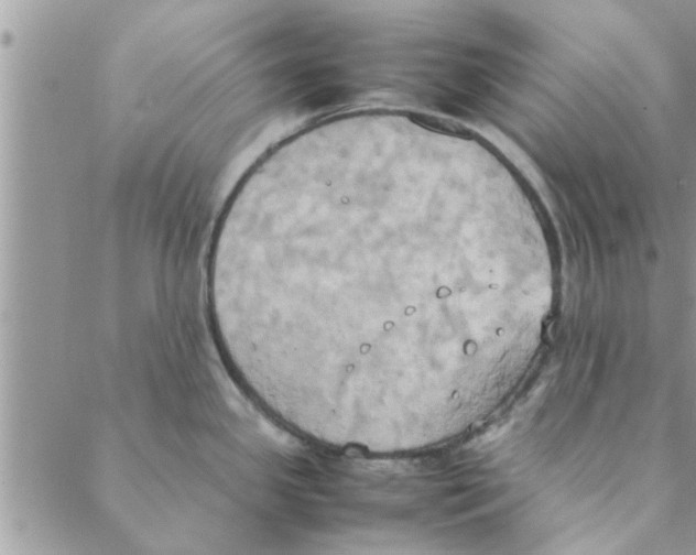 X0000088211341200706121756