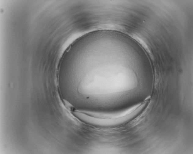 X0000088211342200706121756