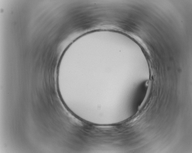 X0000088211343200706121756