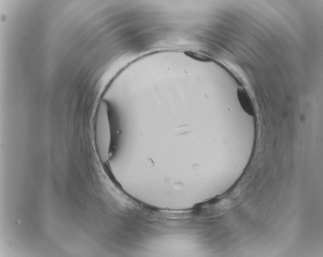 X0000088211344200706121756