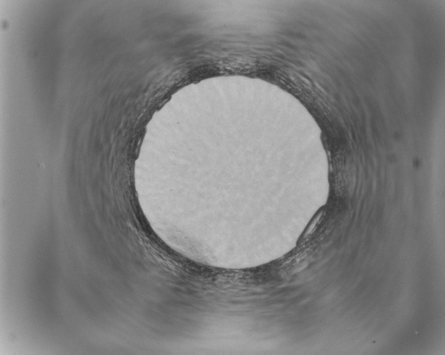 X0000088211345200706121755