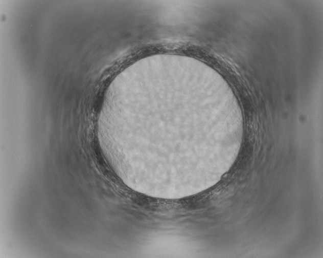 X0000088211349200706121755