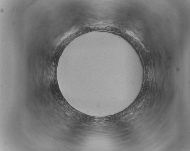 X0000088211350200706121755