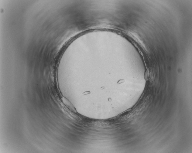 X0000088211356200706121755