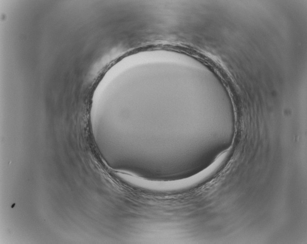 X0000088211359200706121755