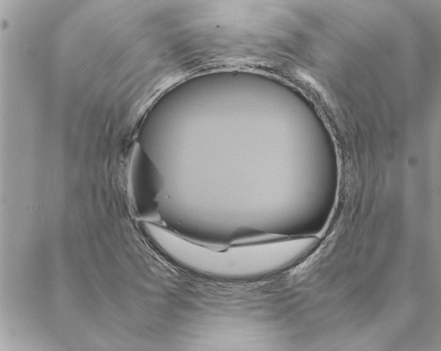 X0000088211361200706121755